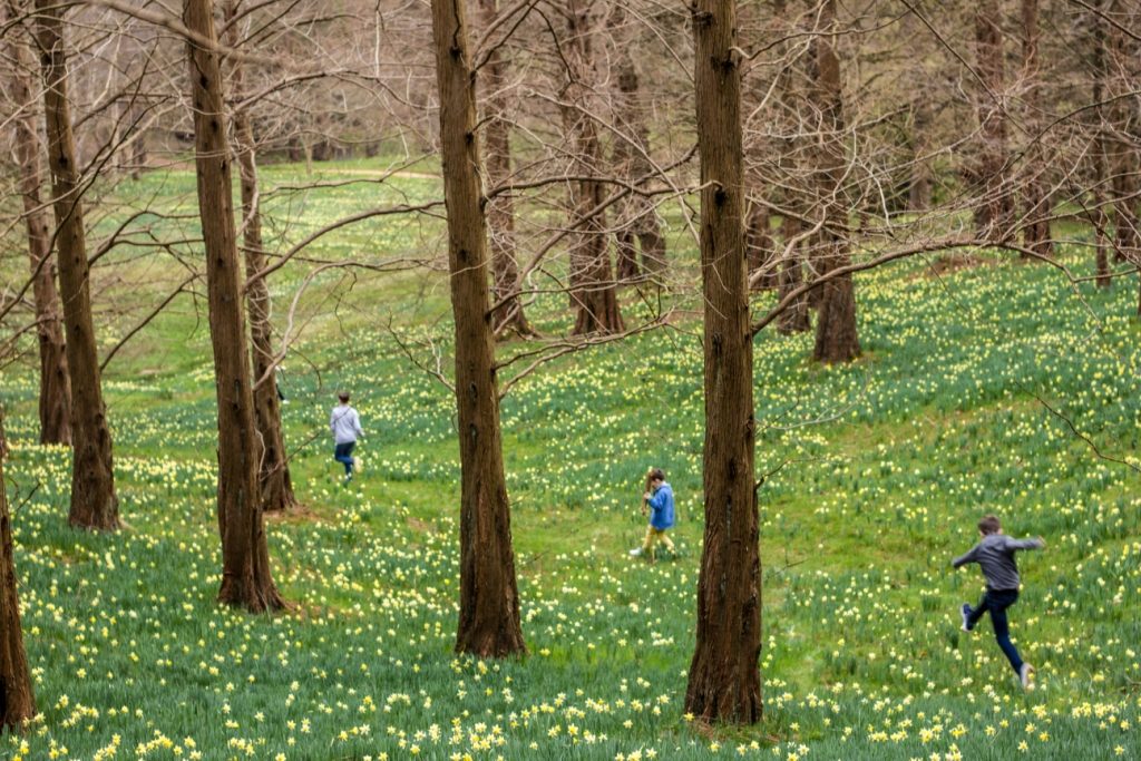 Smiley Day Photography