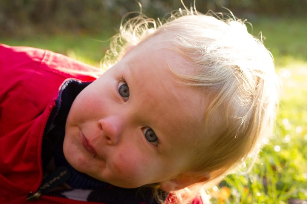 Smiley Day Photography late Autumn