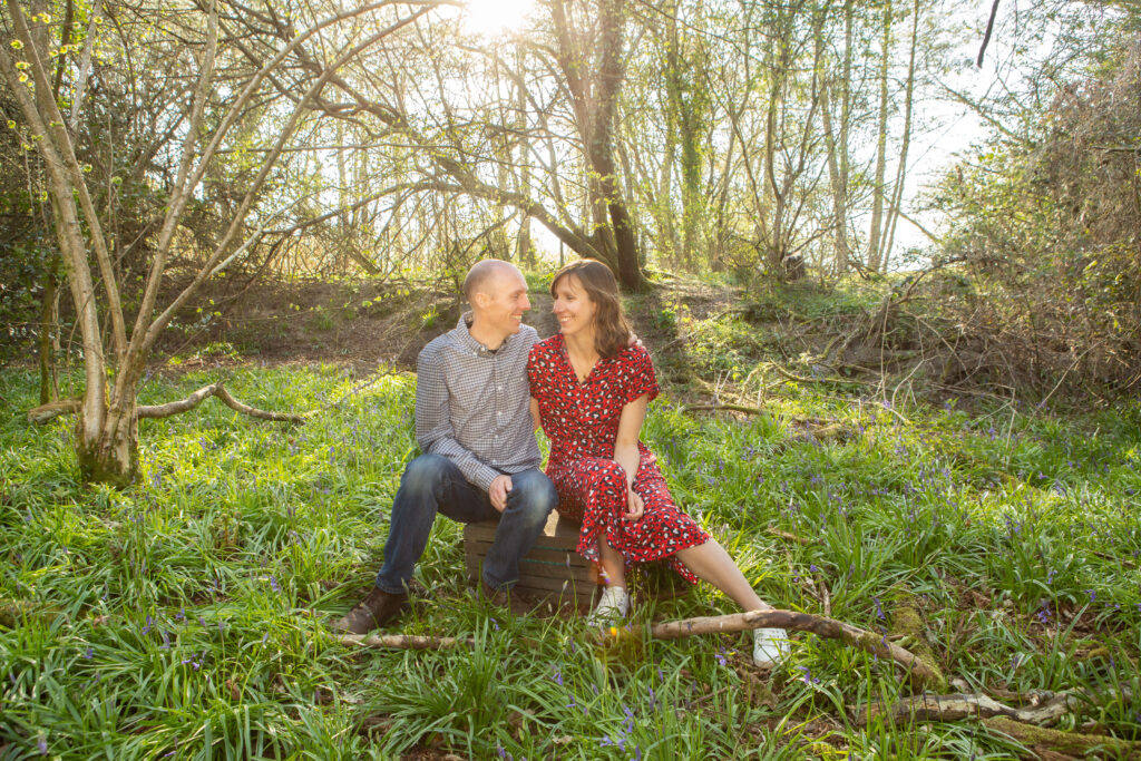 Bluebells on farmland